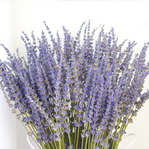 Lavender By The Bunch - Body Mind Soul