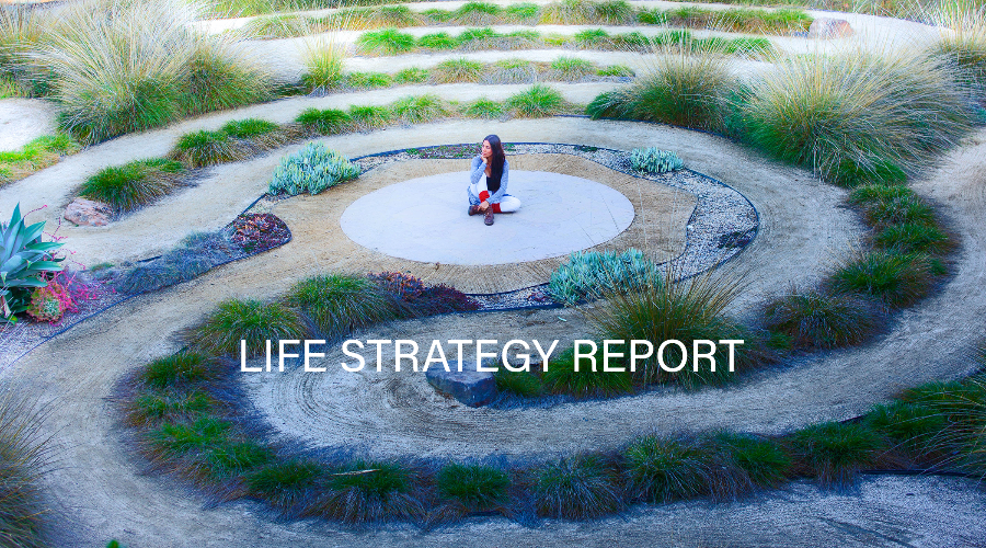 Life Strategy Report